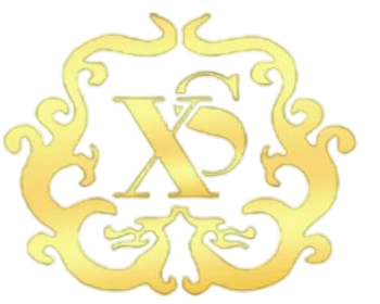 新盛游戏Logo